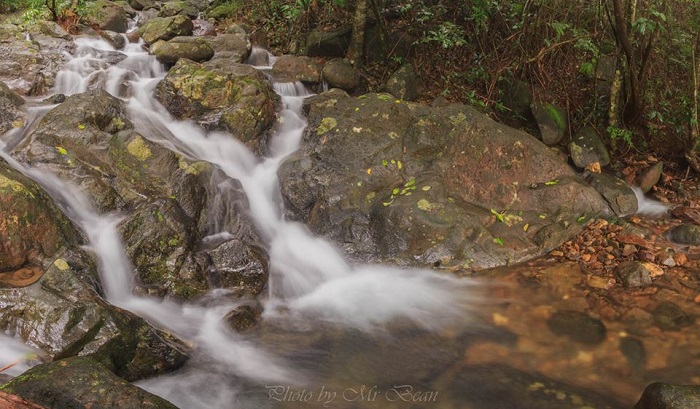 Hoian Bach Ma National Park