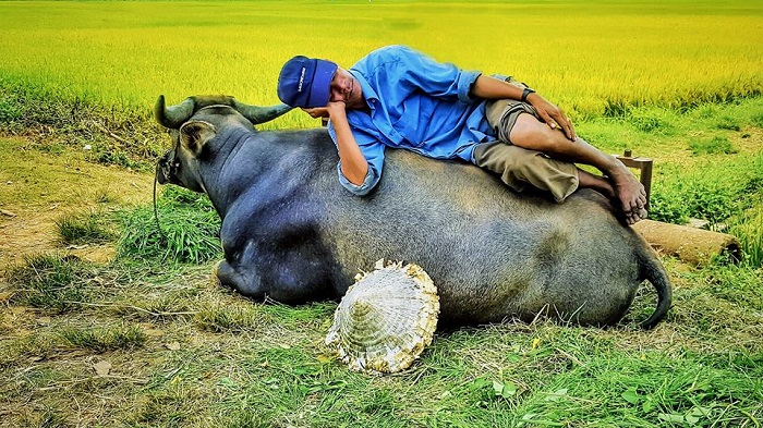 Hoian experience on bicycle