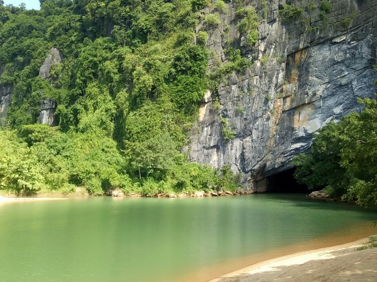 transfer from dong hoi