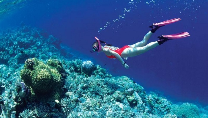 Luxury car Hoian to Nhatrang