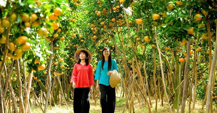 Luxury car Saigon to Nhatrang