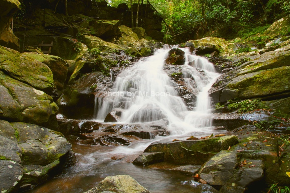 Bach Ma National Park