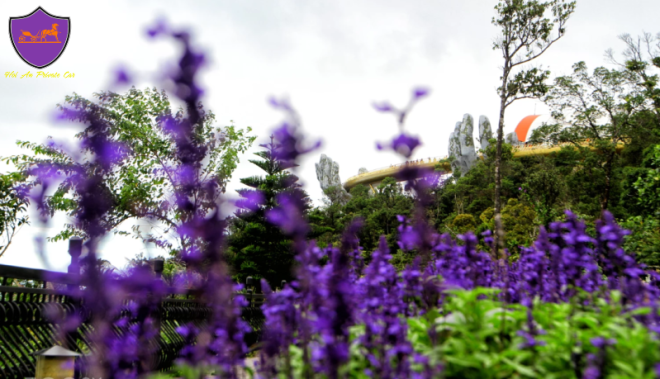 Travel from Hue to Hoi An- Hoi An Private Car