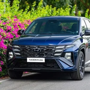 Da Nang Airport To Hoi An Memories Resort & Spa Transfer - Hoi An Private Car