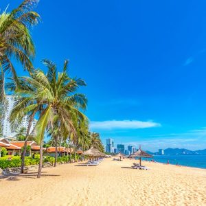 Nha Trang Airport Transfer By Car - Hoi An Private Car