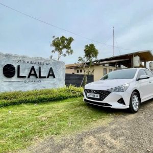 Dong Hoi Airport Transfer - Hoi An Private Car