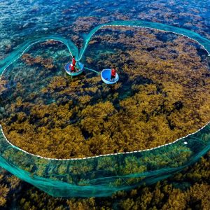 Da Nang To Quy Nhon By Car - Hoi An Private Car