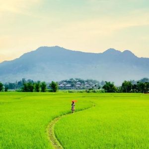 Halong Bay To Mai Chau Private Car - Hoi An Private Car