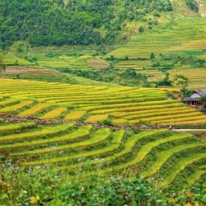 Halong Bay To Mai Chau By Private Car - Hoi An Private Car