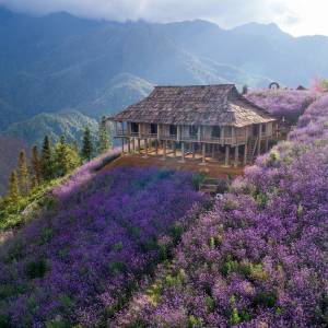 Halong Bay To Sapa By Car - Hoi An Private Car