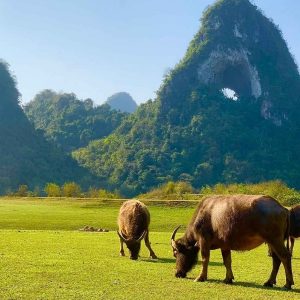 Hanoi To Cao Bang By Private Car - Hoi An Private Car