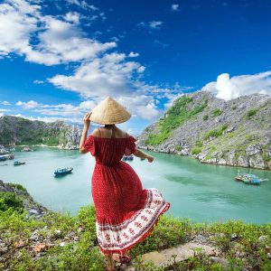 Ninh Binh To Cat Ba Island On Private Car - Hoi An Private Car