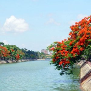 Ninh Binh to Hai Phong By Car - Hoi An Private Car
