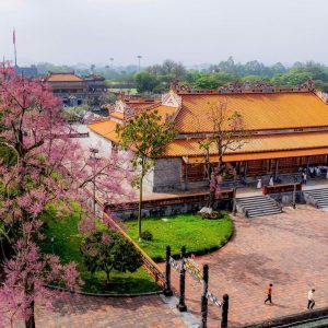 Tien Sa Port To Hue Car - Hoi An Private Car