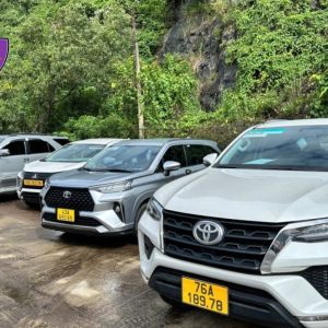 Da Nang to Quang Ngai Private Car - Hoi An Private Car