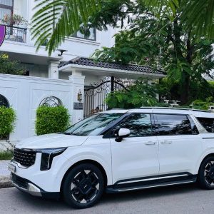 Da Nang to Quang Ngai Private Car - Hoi An Private Car