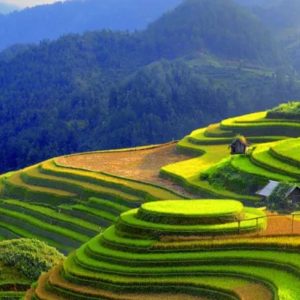 Hanoi To Sapa Luxury Car - Hoi An Private Car