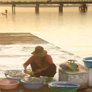 Hoi An Sunrise Fish Market Tour - Hoi An Private Car