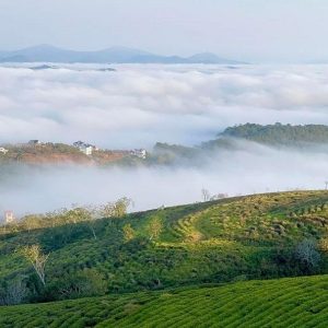 Hoi An To Dalat Private Car - Hoi An Private Car