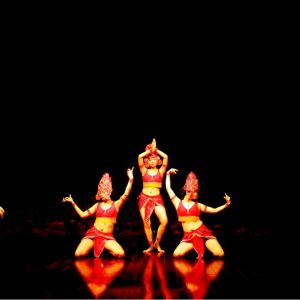 Jeep Tour To My Son Sanctuary - Hoi An Private Car