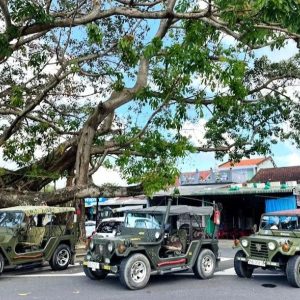 Jeep Tour To My Son Sanctuary - Hoi An Private Car