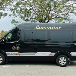 Saigon To Dalat Luxury Car - Hoi An Private Car