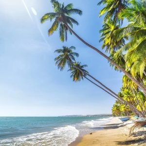 Dalat to Mui Ne By Car - Hoi An Private Car