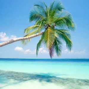 Dalat to Mui Ne By Private Car - Hoi An Private Car