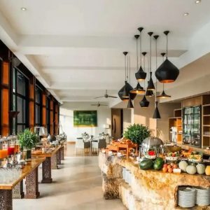 Danang Airport to Hyatt Regency Resort - Hoi An Private Car