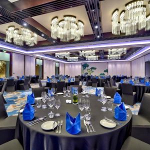 Da Nang Airport To Hilton Hotel Transfer - Hoi An Private Car