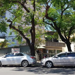 Da Nang To Son Tra Mountain By Private Car - Hoi An Private Car