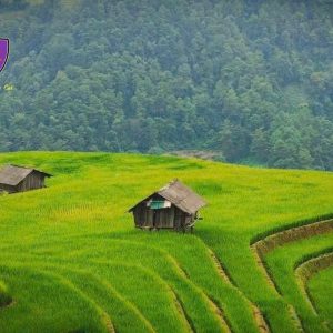 Private car Hanoi to Mu Cang Chai - Hoi An Private Car