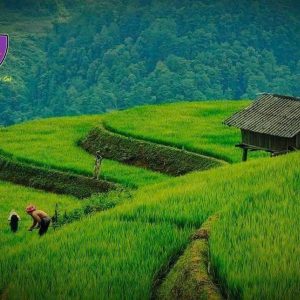 Private car Hanoi to Mu Cang Chai - Hoi An Private Car