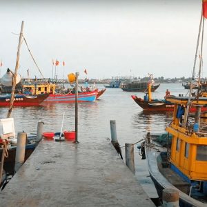 Hoi An Vespa Tour - Hoi An Private Car