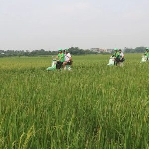 Hoi An Vespa Tour - Hoi An Private Car