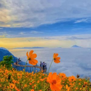 Nha Trang To Dalat By Private Car - Hoi An Private Car