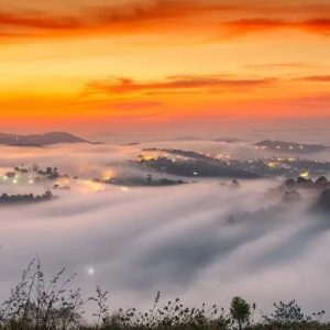 Nha Trang To Dalat By Car - Hoi An Private Car