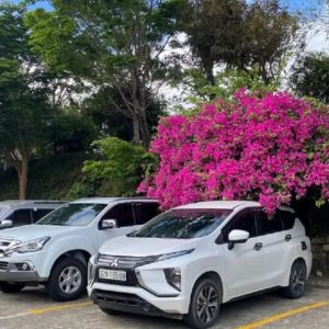 Hoi An To Monkey Mountain By Private Car - Hoi An Private Car