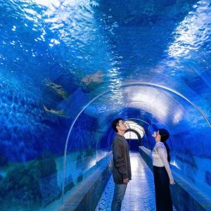 Dalat To Nha Trang By Private Car - Hoi An Private Car