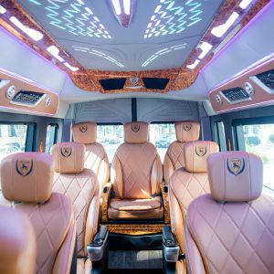 Danang To Phong Nha Luxury Car Transfer - Hoi An Private Car