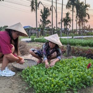 Exploring Hoi An Countryside On Bicycle - Hoi An Private Car