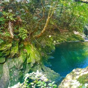 Hoi An To Bach Ma National Park By Private Car - Hoi An Private Car