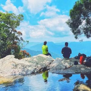 Hoi An To Bach Ma National Park By Car - Hoi An Private Car