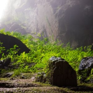 Hoi An to Phong Nha By Luxury Car - Hoi An Private Car