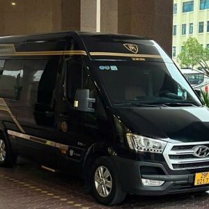 Hoi An to Phong Nha Luxury Car - Hoi An Private Car