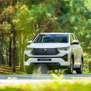 Hue To My Son Sanctuary Private Car Transfer - Hoi An Private Car