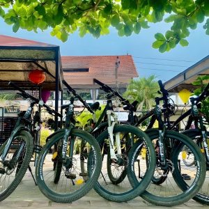 My Son Off The Beaten Track On Bicycle Tour - Hoi An Private Car