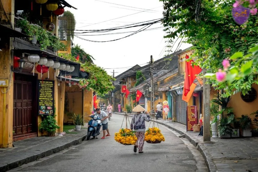 Phong Nha To Hoi An Private Car - Hoi An Private Car