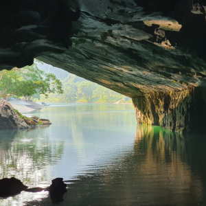Phong Nha To Hoi An Private Car - Hoi An Private Car