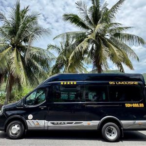 Saigon To Mui Ne Limousine - Hoi An Private Car
